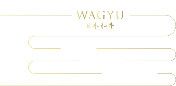 The secret behind the deliciousness of WAGYU 日本和牛 1.Texture 2.Oleic acid 3.WAGYU Aroma