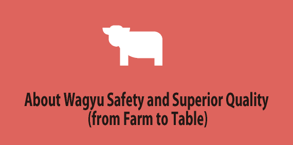 About Wagyu Safety and Superior Quality (from Farm to Table) 