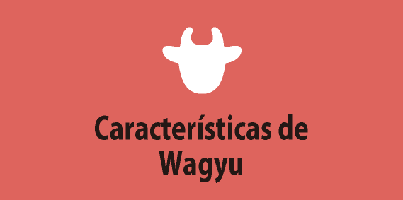 Características de Wagyu