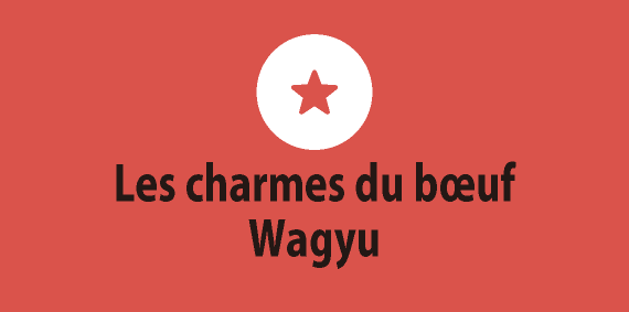 Les charmes du bœuf Wagyu