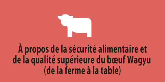 À propos de la sécurité alimentaire et de la qualité supérieure du bœuf Wagyu (de la ferme à la table)
