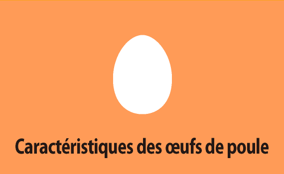 Caractéristiques des œufs de poule