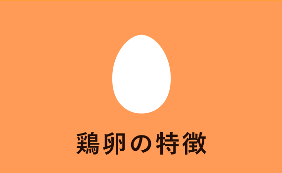 鶏卵の特徴