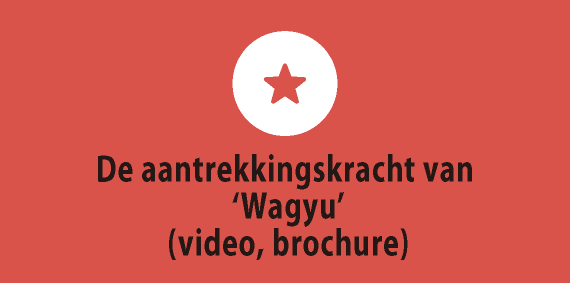 De aantrekkingskracht van 'Wagyu’ (video, brochure)