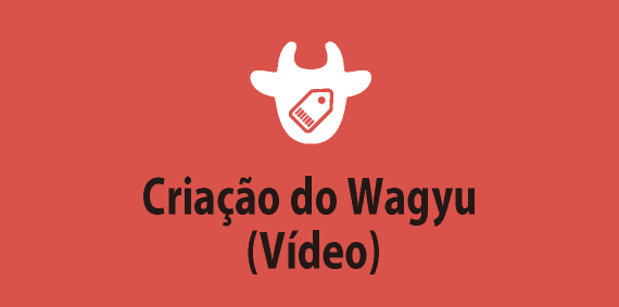 Criação do Wagyu (Vídeo)