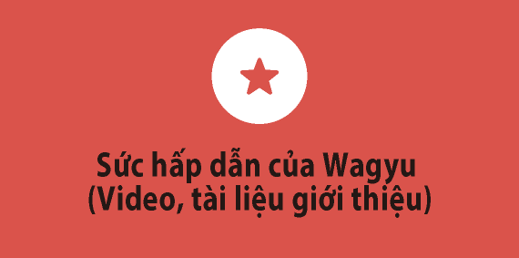 Sức hấp dẫn của Wagyu (Video, tài liệu giới thiệu)