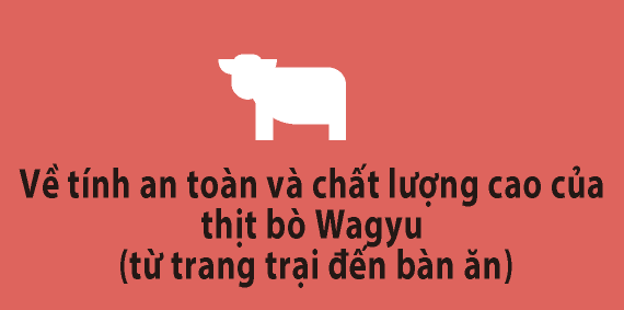 Về tính an toàn và chất lượng cao của thịt bò Wagyu (từ trang trại đến bàn ăn)