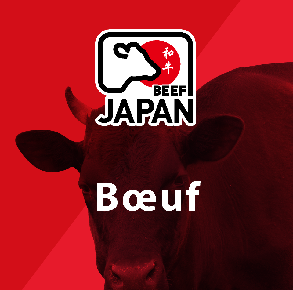 WAGYU-Japanese beef