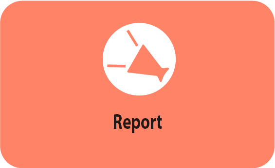 Report